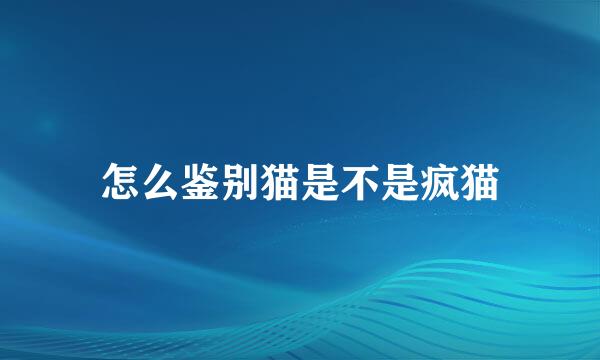怎么鉴别猫是不是疯猫