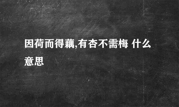 因荷而得藕,有杏不需梅 什么意思