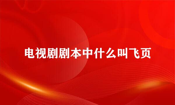 电视剧剧本中什么叫飞页