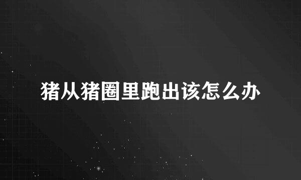 猪从猪圈里跑出该怎么办