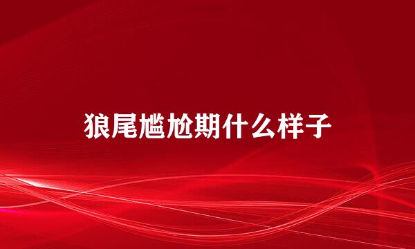 狼尾尴尬期什么样子