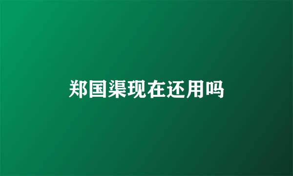 郑国渠现在还用吗