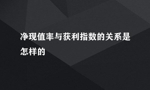 净现值率与获利指数的关系是怎样的