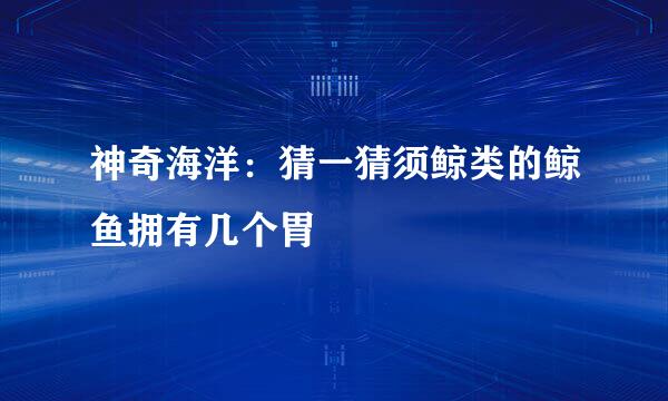 神奇海洋：猜一猜须鲸类的鲸鱼拥有几个胃