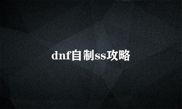 dnf自制ss攻略