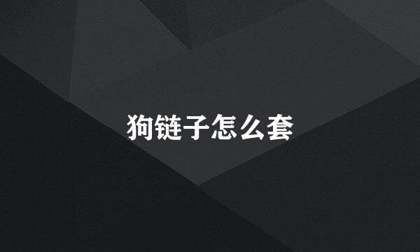狗链子怎么套