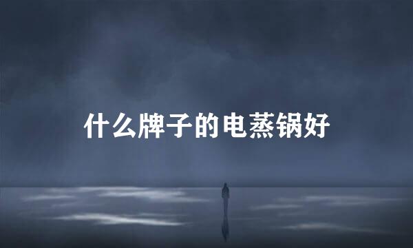 什么牌子的电蒸锅好