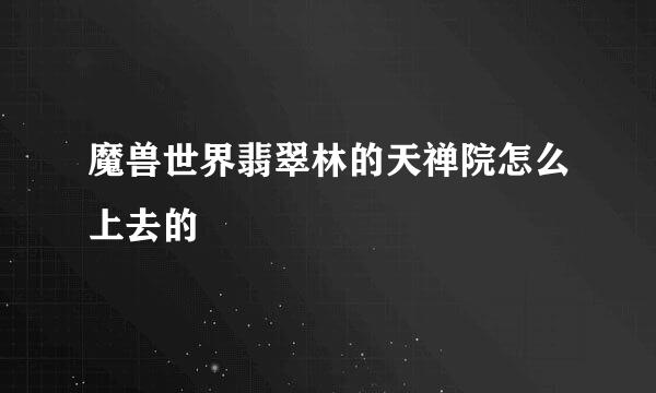 魔兽世界翡翠林的天禅院怎么上去的