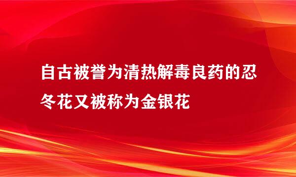 自古被誉为清热解毒良药的忍冬花又被称为金银花