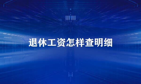 退休工资怎样查明细