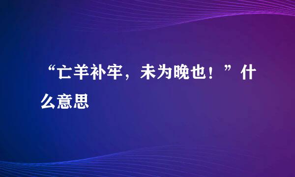 “亡羊补牢，未为晚也！”什么意思