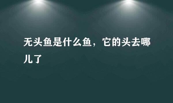 无头鱼是什么鱼，它的头去哪儿了