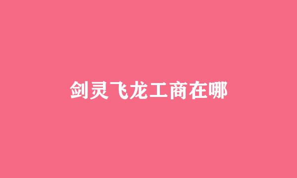 剑灵飞龙工商在哪