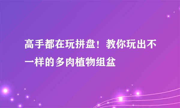 高手都在玩拼盘！教你玩出不一样的多肉植物组盆