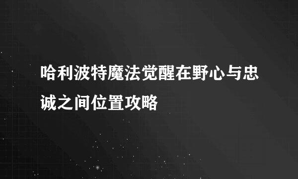 哈利波特魔法觉醒在野心与忠诚之间位置攻略