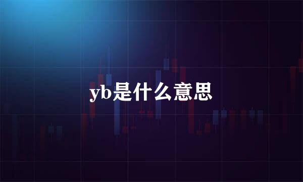 yb是什么意思