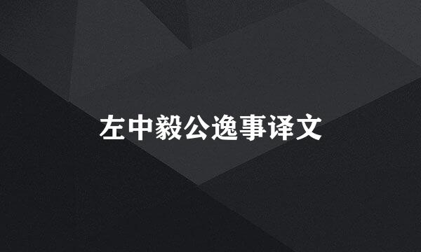 左中毅公逸事译文