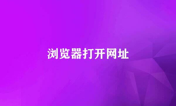 浏览器打开网址