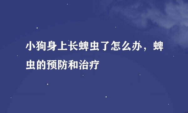 小狗身上长蜱虫了怎么办，蜱虫的预防和治疗