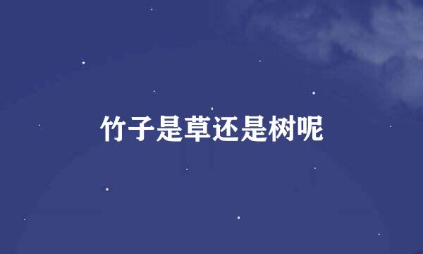竹子是草还是树呢