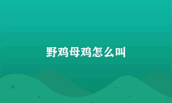 野鸡母鸡怎么叫