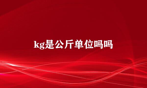 kg是公斤单位吗吗