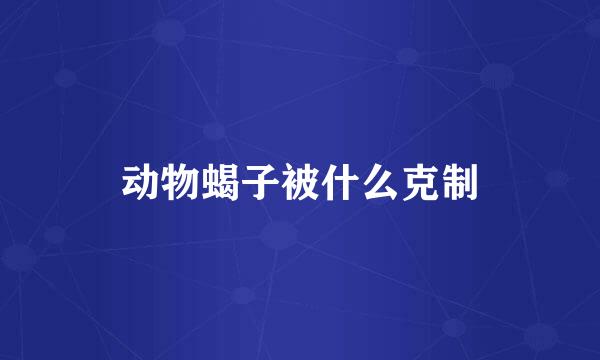 动物蝎子被什么克制