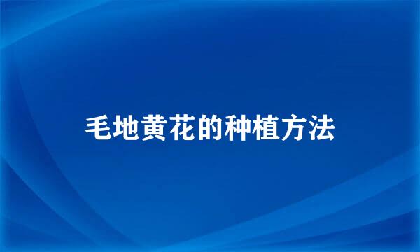 毛地黄花的种植方法
