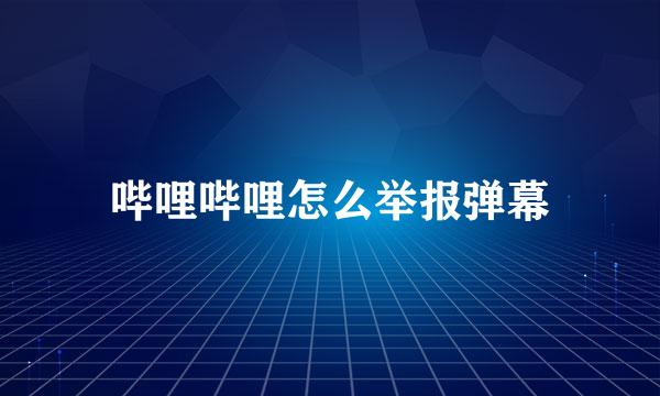 哔哩哔哩怎么举报弹幕
