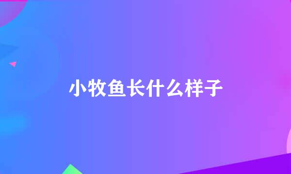 小牧鱼长什么样子
