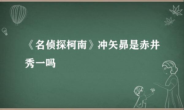 《名侦探柯南》冲矢昴是赤井秀一吗