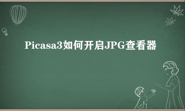 Picasa3如何开启JPG查看器