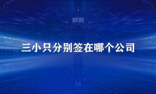三小只分别签在哪个公司
