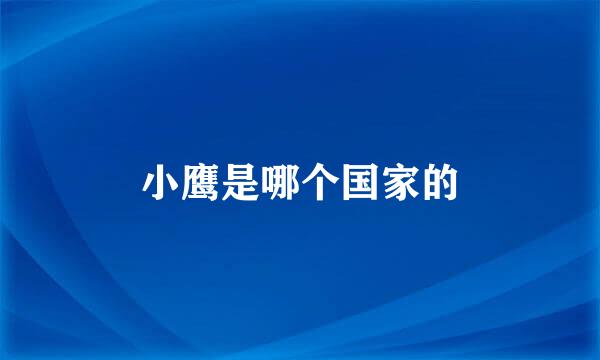 小鹰是哪个国家的