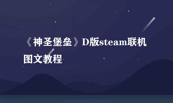 《神圣堡垒》D版steam联机图文教程
