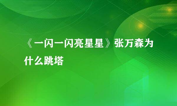 《一闪一闪亮星星》张万森为什么跳塔
