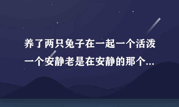 养了两只兔子在一起一个活泼一个安静老是在安静的那个头上蹦来蹦去没事吧