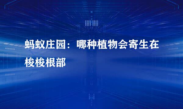 蚂蚁庄园：哪种植物会寄生在梭梭根部