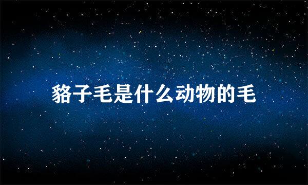 貉子毛是什么动物的毛