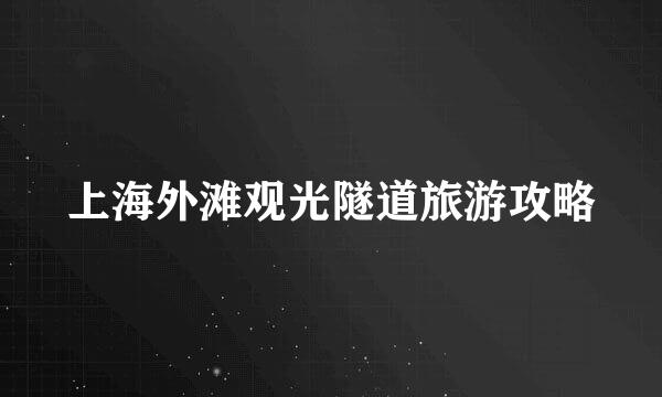 上海外滩观光隧道旅游攻略