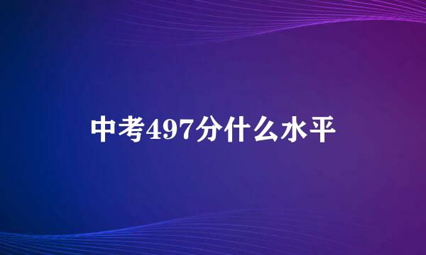 中考497分什么水平