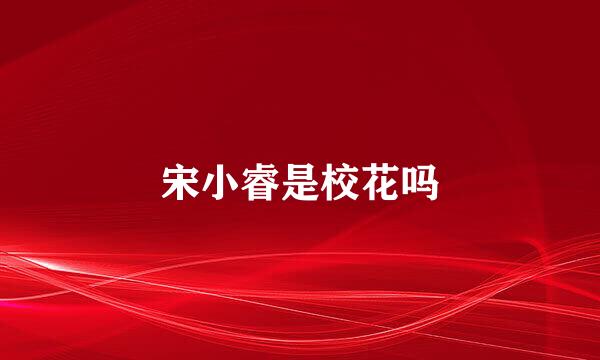 宋小睿是校花吗