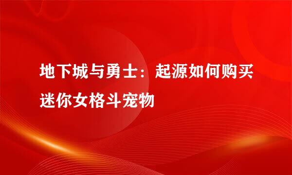 地下城与勇士：起源如何购买迷你女格斗宠物