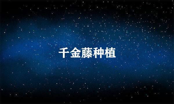 千金藤种植