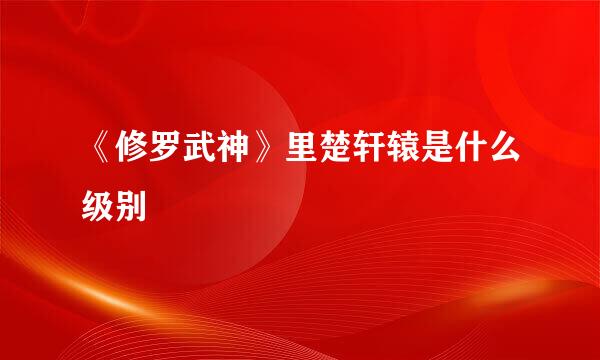 《修罗武神》里楚轩辕是什么级别
