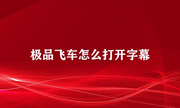 极品飞车怎么打开字幕