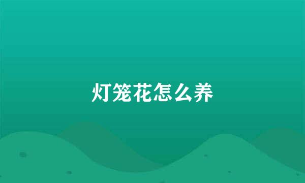 灯笼花怎么养