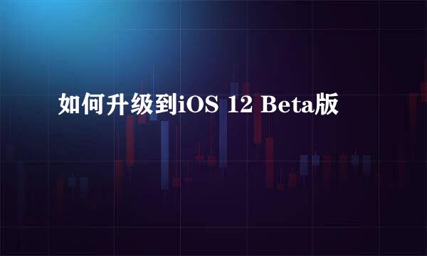 如何升级到iOS 12 Beta版