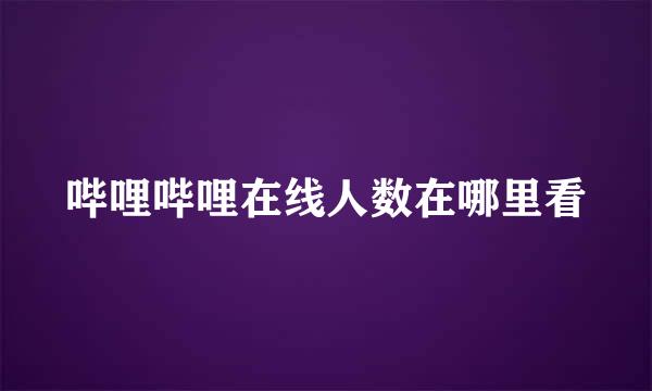 哔哩哔哩在线人数在哪里看