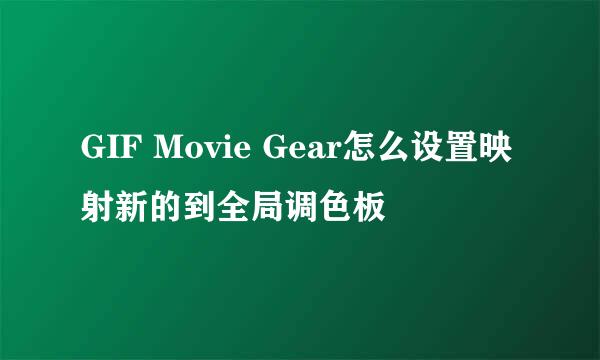 GIF Movie Gear怎么设置映射新的到全局调色板